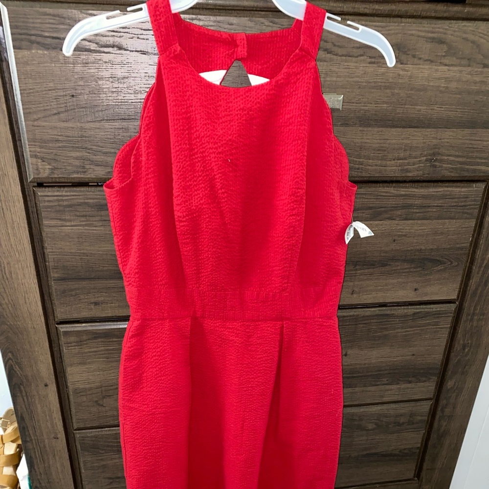 Lauren James Dress